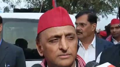 Samajwadi Party chief Akhilesh Yadav (Photo/ANI)