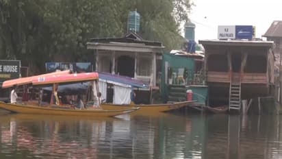 Tourists enjoying Shikara rides (Photo/ANI)