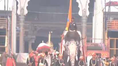 Earlier visuals from the Mysuru Palace (Photo/ANI)