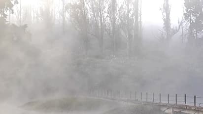 Tamil Nadu's Nilgiris, Ooty shivers (Photo/ANI)