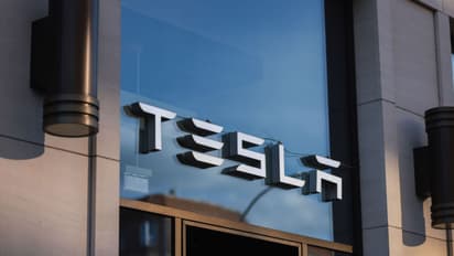 https://stocktwits.com/news-articles/markets/equity/tsla-is-the-worst-performing-mag7-stock-this-year-but-leads-the-pack-in-october/cZU3bcVRByF