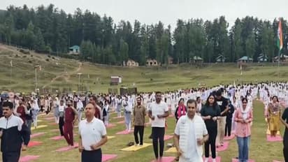 Mega Yoga Session organised as a prelude to the 12th International Day of Yoga at Sanasar. (Photo/ANI)