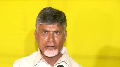 Andhra Pradesh Chief Minister Chandrababu Naidu (Photo/ANI)