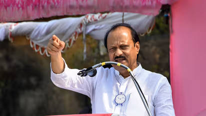 Maharashtra Deputy CM Ajit Pawar (Photo/ANI)