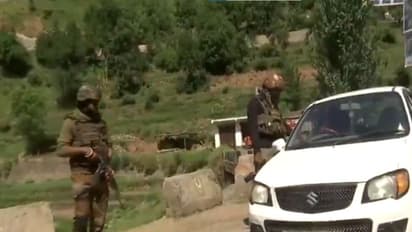 An intensive search was carried out in dense Dorimal forests (Photo/ANI)