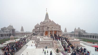 Visual of Ayodhya's Ram Mandir (File Photo/ANI)
