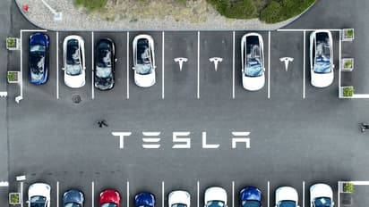 Tesla Bear Warns of ‘Disastrous’ Q1 Deliveries: Stock Heads For 5th Weekly Loss Amid Cautious Retail Mood