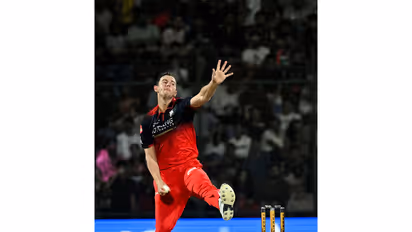 Josh Hazlewood. (Photo: ANI)