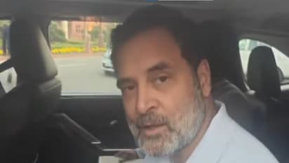 LoP Lok Sabha Rahul Gandhi (Photo/ANI)