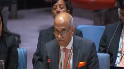 India’s Permanent Representative to the United Nations, Parvathaneni Harish, addresses the UN Security Council. (Image Source: UN Web TV)