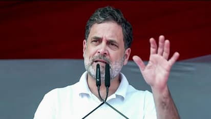 Congress MP Rahul Gandhi (Photo: ANI)