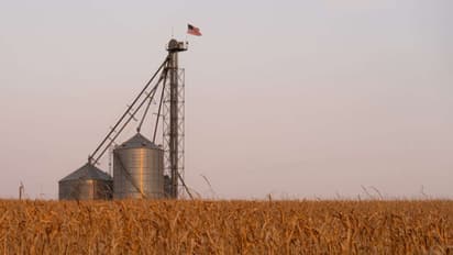 Green Plains Stock Tumbles On Wider-Than-Expected Loss: Retail Shrugs Off Concerns