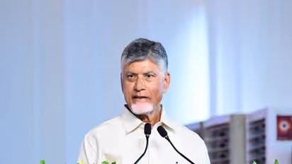Andhra Pradesh CM N Chandrababu Naidu (Photo/X/@AndhraPradeshCM)