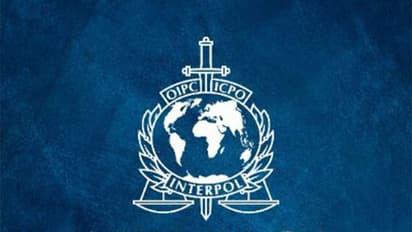 INTERPOL logo (Photo/X/@INTERPOL_HQ)