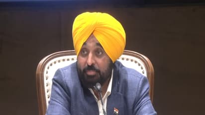 Punjab Chief Minister Bhagwant Mann (Photo/ANI)