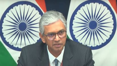 Secretary (East) in the MEA P Kumaran (Photo/MEAYoutube)