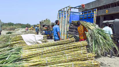 Representative Image (File Photo/ANI)