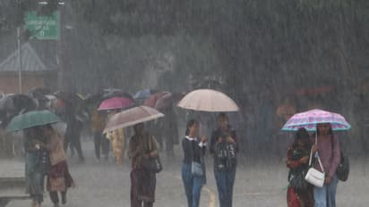 Heavy monsoon shower in Himachal Pradesh (Photo/ANI)