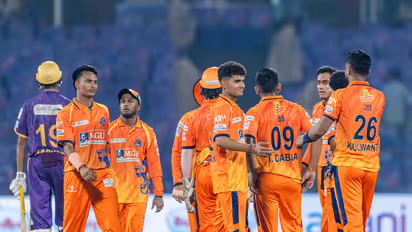 West Delhi Lions beat New Delhi Tigers by 19 runs. (Photo/DPL)