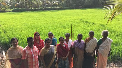 തരിശുനിലത്തില്‍ പൊന്നു വിളയിച്ച് കുടുംബശ്രീ കരുത്ത്