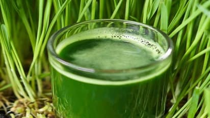 இந்த 20-க்கும் மேற்பட்ட நோய்களுக்கும் ஒரே ஒரு மருந்துதான்... அது அருகம்புல்தான்...