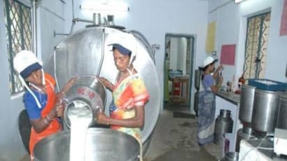 பால் பண்ணை தொழில் பற்றி உங்களுக்கு தெரிந்ததும், தெரியாததும்!