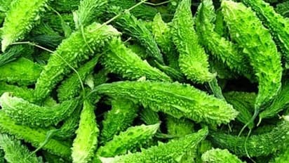 உடலில் உள்ள புழுக்களை அழிக்கும் பாகற்காயின் மற்ற மருத்துவ குணநலன்கள்…