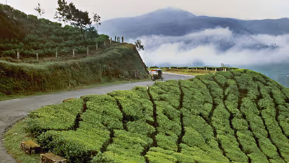 Here's why Munnar is the most romantic destination in Kerala