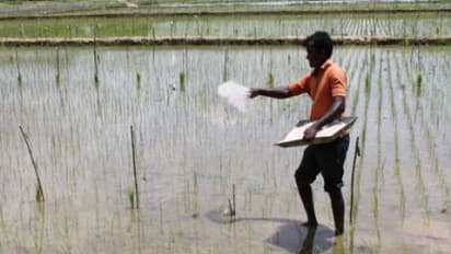 பயிர்களுக்கு உயிர் உரங்களை இடுவதால் உற்பத்தியை பெருமளவுக் கூட்டலாம்…