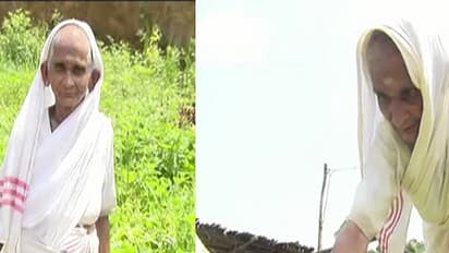 ವಯಸ್ಸು 92 ಆದ್ರೂ ಕುಗ್ಗಿಲ್ಲ ಉತ್ಸಾಹ: ಇಳಿವಯಸ್ಸಿನಲ್ಲೂ ಕೃಷಿ ಮಾಡಿ ಮನೆ ಮಂದಿಗೆ ಆಸರೆಯಾದ ಛಲಗಾತಿ ಅಜ್ಜಿ