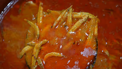 Tamil Nadu may have found its state fish in Ayirai