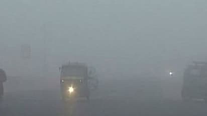 Dense fog shrouds Delhi, likely to disrupt flight and train services