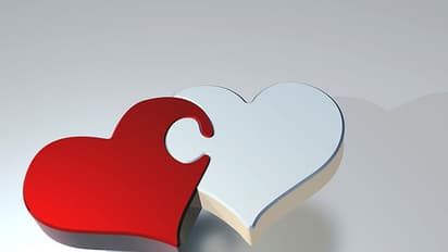 പ്രണയം രണ്ടുണ്ട്!