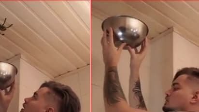 (ವಿಡಿಯೋ)ಜೇಡ ಹಿಡಿಯಲು ಹೋದ ಯುವಕ: ಮುಂದೆ ನಡೆದ ಅಚಾತುರ್ಯ ಕಂಡು ಹೌಹಾರುತ್ತೀರಿ..