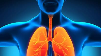 ফুসফুসকে শক্তিশালী করতে মেনে চলুন এই কয়টি টিপস, রোগ থেকে বাঁচতে গড়ে তুলুন প্রতিরোধ ক্ষমতা