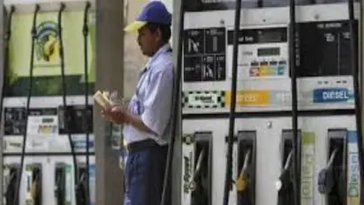 Petrol station staff refuses to fill fuel in can; customer throws snake in cabin