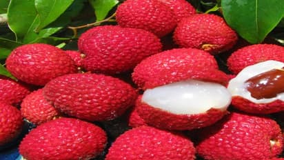 “லிச்சி பழம்”: நீங்கள் கேள்விப்பட்டதுண்டா இப்படி ஒரு பழத்தின் அருமையை!