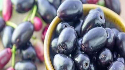 நீங்கள் நாவல் பழத்தை பார்த்தால் மறக்கமால் வாங்கி சாப்பிடுங்கள்... உடலுக்கு இவ்வளவு நல்லது தருகிறது...