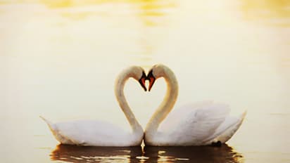 പ്രണയഭ്യർത്ഥന നിരസിച്ച പെൺകുട്ടിയോടുള്ള ജിഷ്ണുവിന്റെ ചോദ്യം ഇന്നേ വരെ ഒരു കാമുകനും ചോദിച്ചിട്ടുണ്ടാകില്ല!!!