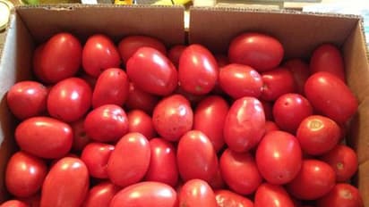 ಪೆಟ್ರೋಲ್ ಗಿಂತಲೂ ದುಬಾರಿಯಾಯ್ತು ಟೊಮೆಟೊ : ಅಬ್ಬಬ್ಬಾ..!