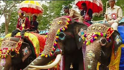 ಆತಿಥ್ಯವಿಲ್ಲದೆ ಸೊರಗುತ್ತಿವೆ ಆನೆಗಳು: ಮಾವುತರು ಹಾಗೂ ಆನೆಗಳ ಪರದಾಟ