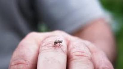 குன்னுாரில் டெங்கு காய்ச்சலால் ஆறு பேர் பாதிப்பு; அரசு மற்றும் தனியார் மருத்துவமனையில் தீவிர சிகிச்சை…