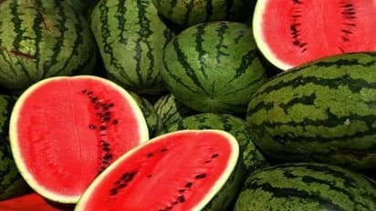 நோய் நீக்கி என்று தர்பூசணியை அழைக்க இதுதான் காரணம்…