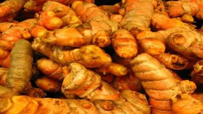 மஞ்சளில் தோன்றும் இலைப்புள்ளி நோய்க்கு மருந்து…