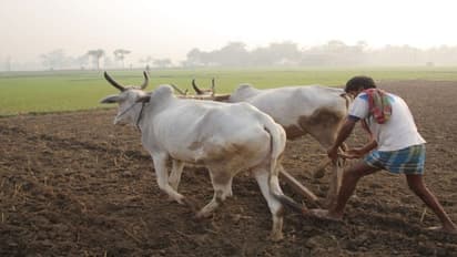 கோடை மழையைப் பயன்படுத்தி கோடை உழவு செய்து மண்வளம், நீர்வளம் பெருக்கலாம்...