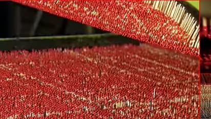 (ವಿಡಿಯೋ)ಬೆಂಕಿ ಕಡ್ಡಿಗಳನ್ನು ಹೇಗೆ ತಯಾರಿಸುತ್ತಾರೆ ಗೊತ್ತಾ? ಇಲ್ಲಿದೆ ಕಣ್ಸೆಳೆಯುವ ಅದ್ಭುತ ದೃಶ್ಯ