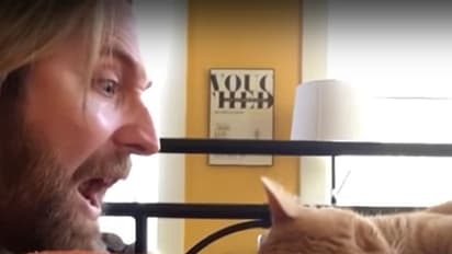 Here's how this owner got his sweet revenge on his cat