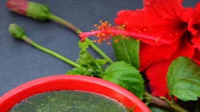 Beauty Tips : ಈ ಹರ್ಬಲ್ ಶ್ಯಾಂಪೂ ಬಳಸಿ, ಸೈಡ್ ಎಫೆಕ್ಟ್ಸ್ ತಲೆ ಬಿಸಿ ಬಿಟ್ಹಾಕಿ!