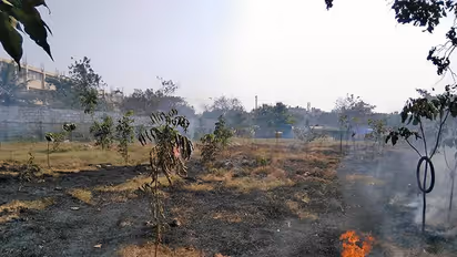 Bengaluru's 'mini forest' goes up in flames