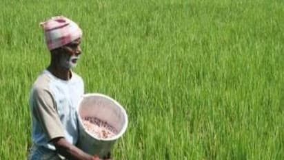 பழம் மற்றும் காய்கறி கரைசலை எப்படி தயாரிக்கணும்? இதை வாசிச்சு தெரிஞ்சுக்குங்க…